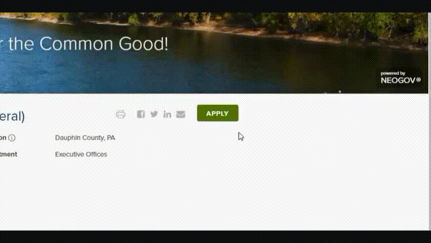 Click on the green 'Apply' button to begin the application.